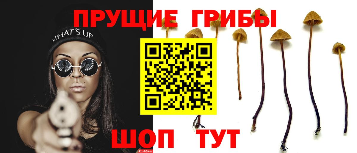 Героин  ТГК  Alpha-PVP СОЛЬ кристаллы  ГАШИШ  Экстази  Богданович  МЕФ   Вход с VPN  МАРИХУАНА 